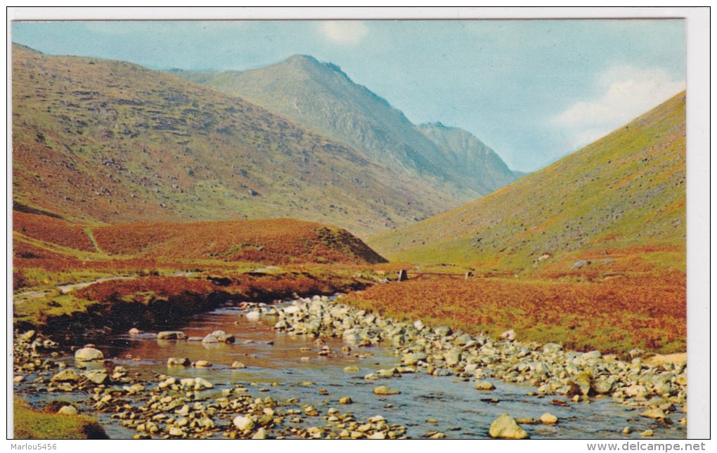 AUTUMN IN GLEN ROSA, ISLE OF ARRAN - Ayrshire