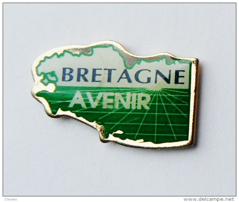 Pin's Carte De Bretagne Bretagne Avenir - Autres & Non Classés