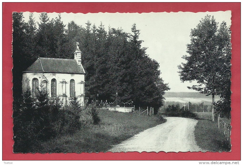 Amonines - La Chapelle - 1962 ( Voir Verso ) - Erezée