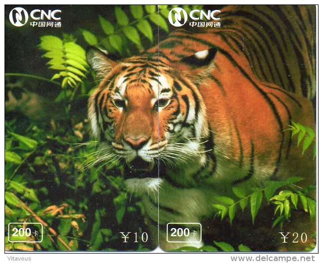 Puzzle Tigre Animal Félin Télécarte Chine  Phonecard  Telefonkarte P61 - Chine