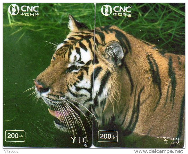 Puzzle Tigre Animal Félin Télécarte  Phonecard  Chine Telefonkarte P62 - Chine