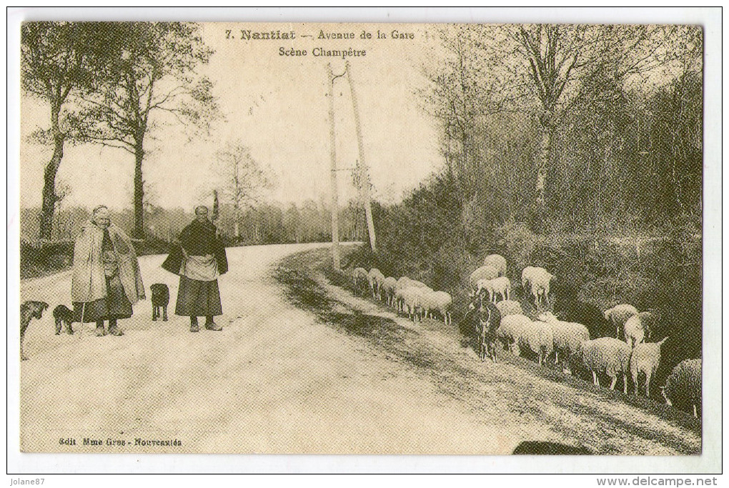 REPRODUCTION CPA    87    NANTIAT       AVENUE DE LA GARE     SCENE CHAMPETRE     BERGERES ET LEURS TROUPEAUX - Nantiat