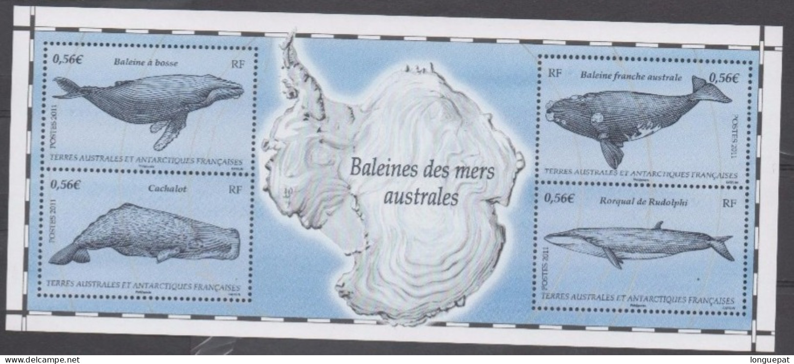 T.A.A.F : .Faune - Baleines : Baleine à Bosse, Cachalot, Baleine Franche Australe, Rorqual De Rudolphi - - Blocs-feuillets