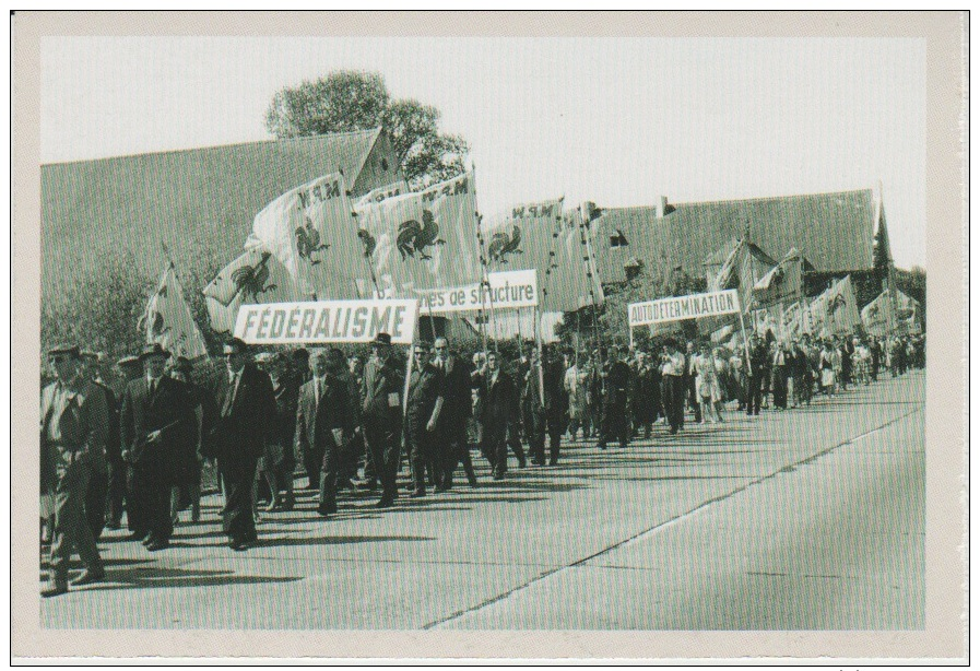 CP - BELGIQUE - Carte 175  Du SOIR - Manifestation Du Mouvement Populaire Wallon En 1962. - Autres & Non Classés