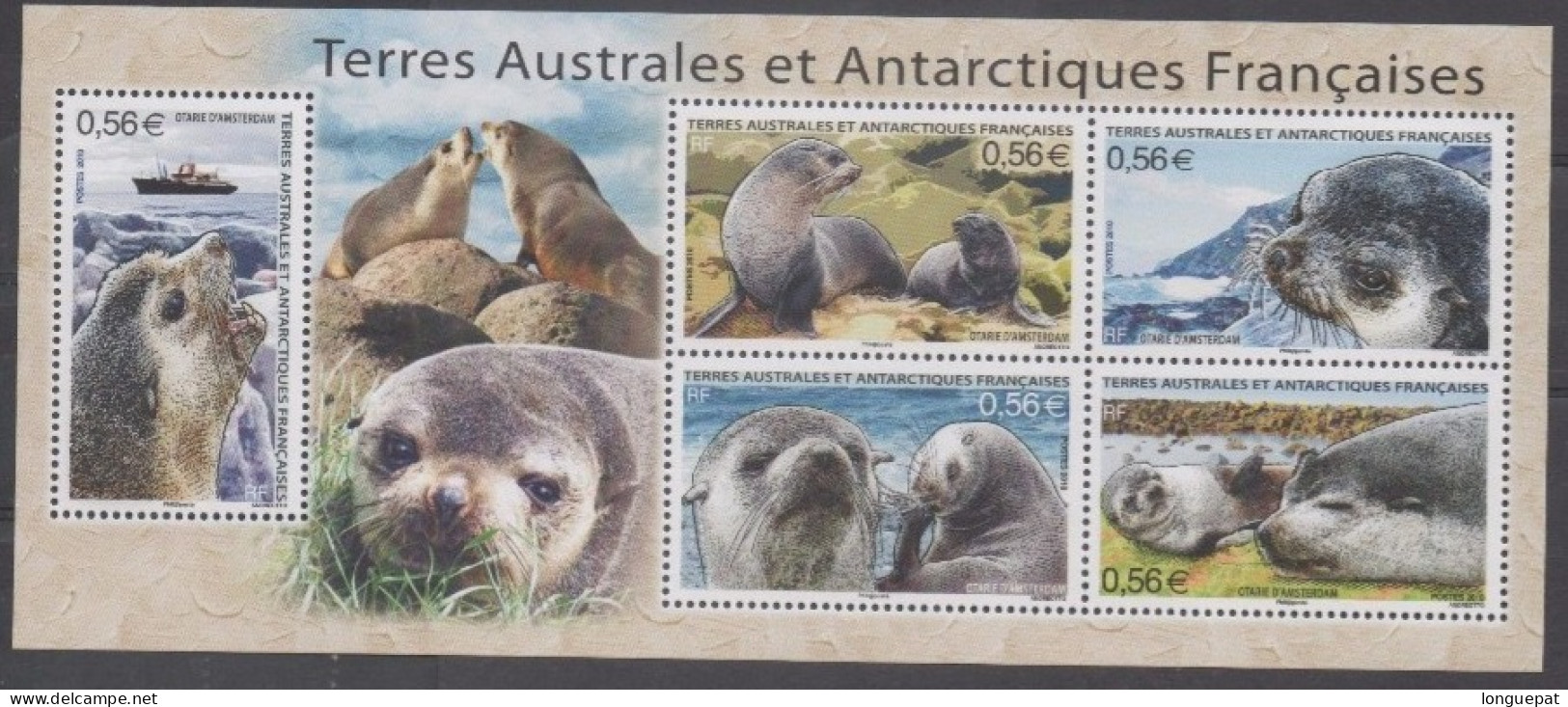 T.A.A.F : Faune Antarctique - Otarie D´Amsterdam (Arctocephalus Tropicalis ) Ou  Otarie à Fourrure - Mammifère Marin - Blocks & Kleinbögen