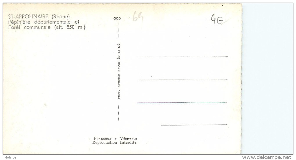 SAINT APPOLINAIRE - Pépinière Départementale Et Forêt Communale. - Altri & Non Classificati