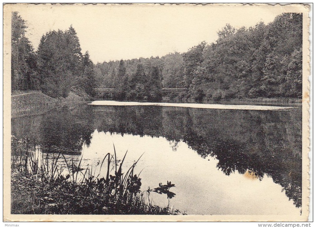 Habay-la-Neuve - La Trapperie - L'Etang Vers Bologne - Habay