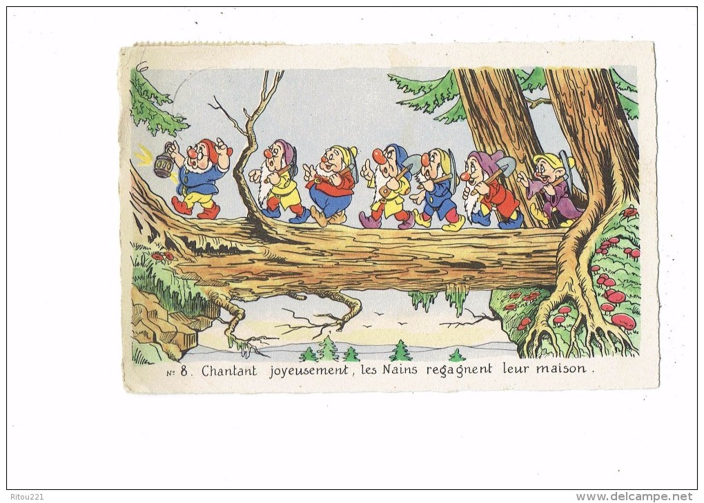 Cpa - Disney - N°8 Blanche Neige ET LES 7 NAINS - Tronc Arbre Champignon Lanterne Pelle Pioche - Schildkröten