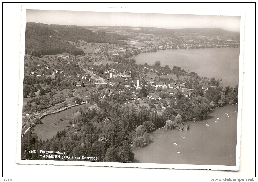 MAMMERN Am Untersee TTB   Timbrée - Mammern