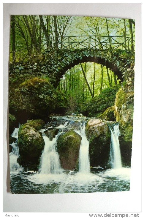 Petite Suisse Luxembourgeoise - La Pittoresque Cascade De Schiessentümpel Au Müllerthal - Muellerthal