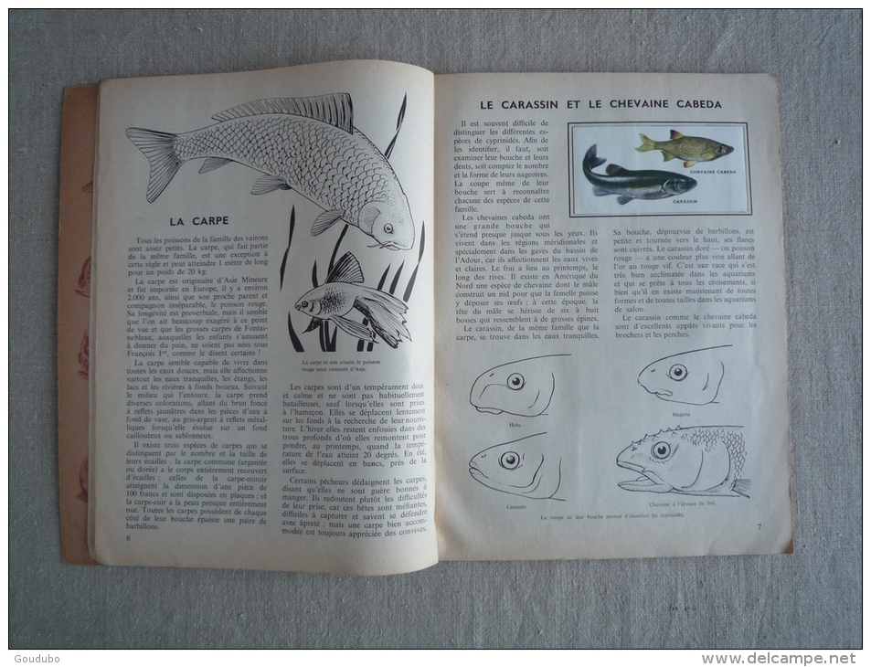 L'encyclopédie Par Le Timbre Les Poissons N°42 Cocorico Les Deux Coqs D'or 1958. Voir Photos. - Albums & Katalogus