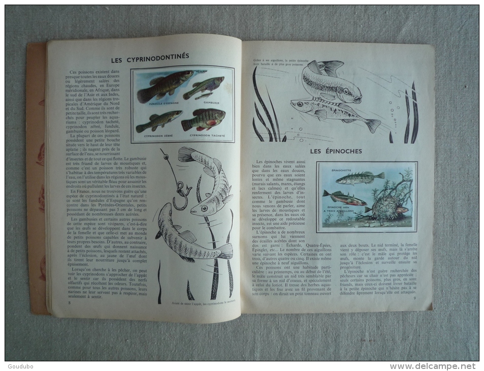 L'encyclopédie Par Le Timbre Les Poissons N°42 Cocorico Les Deux Coqs D'or 1958. Voir Photos. - Albums & Katalogus