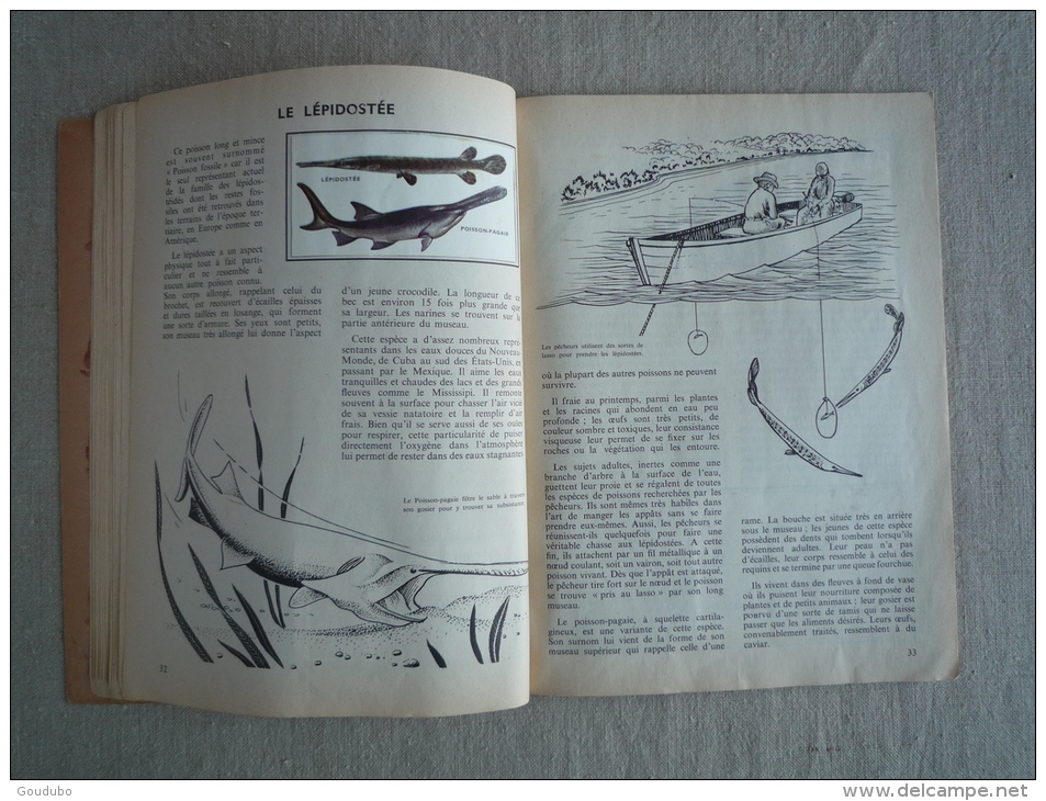 L'encyclopédie par le timbre Les poissons N°42 cocorico Les deux coqs d'or 1958. Voir photos.