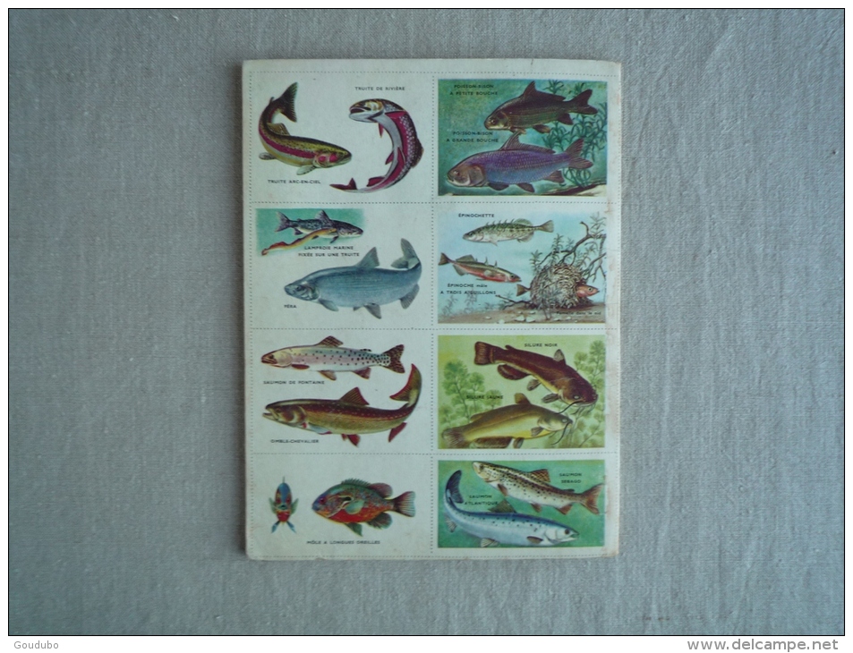 L'encyclopédie par le timbre Les poissons N°42 cocorico Les deux coqs d'or 1958. Voir photos.