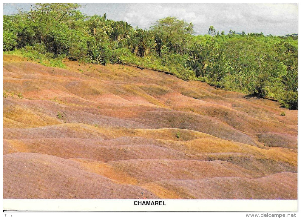 ILE MAURICE - Chamarel - Maurice