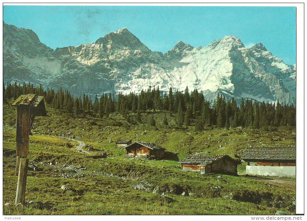 Schwaz (Tirolo, Austria) Alpenmotiv, Ladiz-Alm, Karwendelgebirge Gegen Moserkar-Rauhkar Und Kaltwasserkarspitze - Schwaz