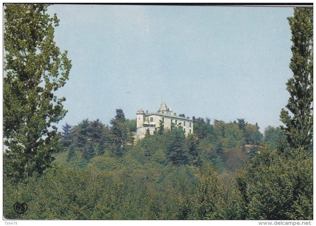 82---BOURG DE VISA---château De BRASSAC---voir  Scans - Bourg De Visa