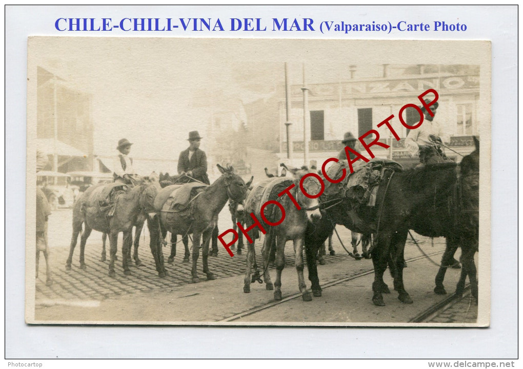 VINA DEL MAR-1920-Valparaiso-CHILE-CHILI-ANES-Marchand-Commerce-Profession-CARTE PHOTO- - Chile