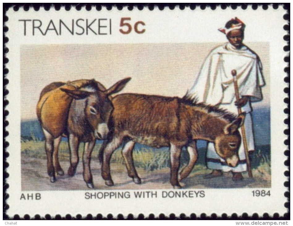 CULTURE-SHOPPING WITH DONKEYS-TRANSKEI-1984-MNH-B3-833 - Burros Y Asnos