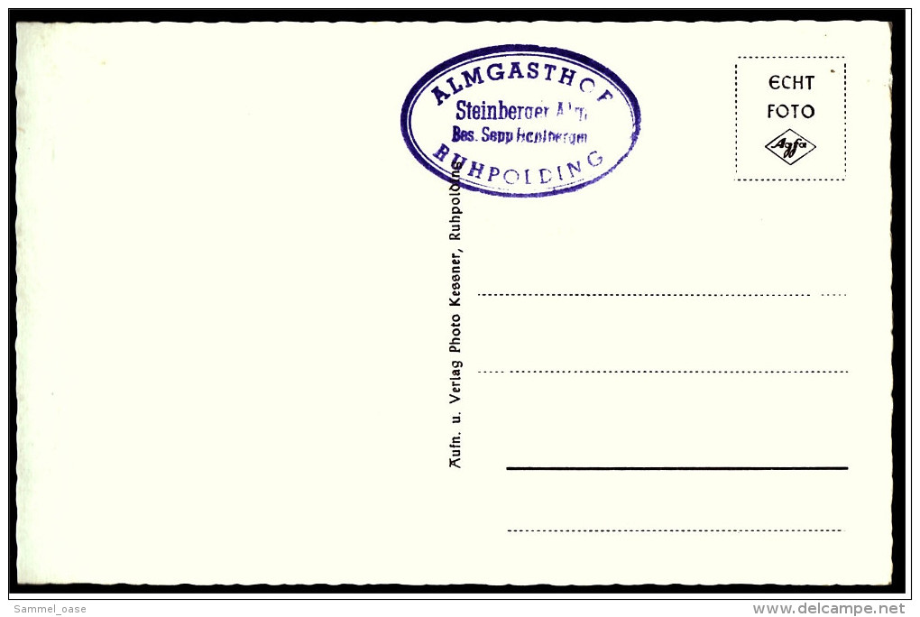 Steinbergeralm Mit Hochfelln  -  Almgasthof  -  Bei Ruhpolding   -  Ansichtskarte  Ca. 1960     (5673 ) - Ruhpolding