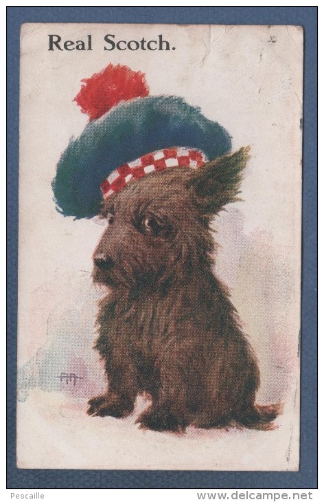 SCOTLAND - CP ILLUSTRATEUR A IDENTIFIER - JOLI CHIEN - REAL SCOTCH - M. & L. LTD N° 271 - CIRCULEE 1918 - Other & Unclassified