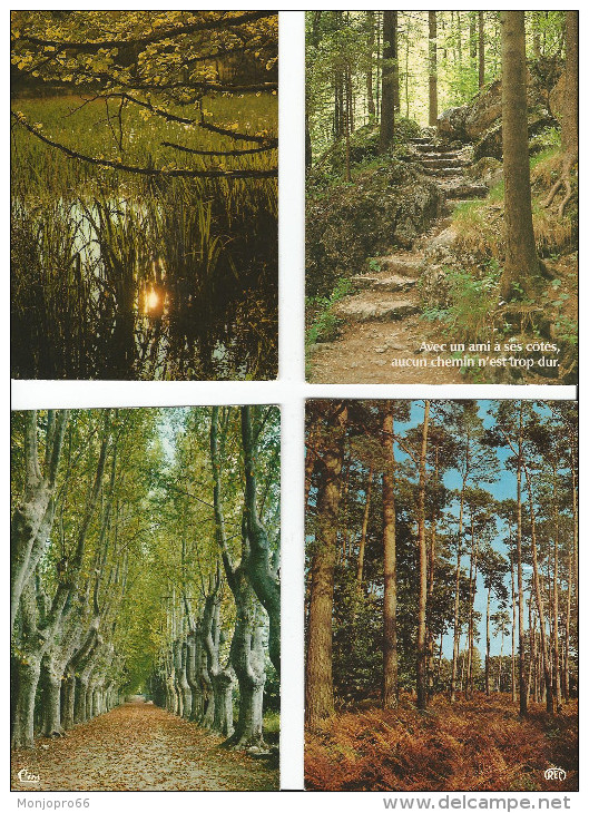 Lot N° 236 de 113 Cartes Postales de paysages de natures