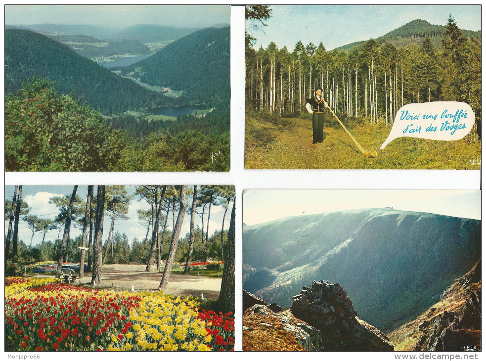 Lot N° 236 de 113 Cartes Postales de paysages de natures