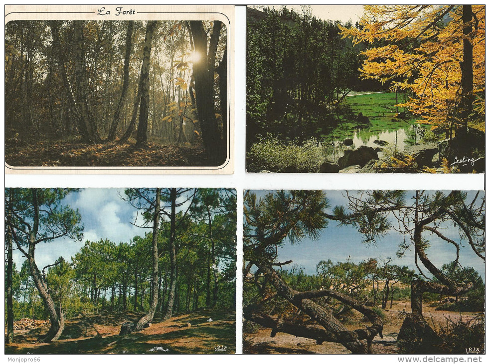 Lot N° 236 de 113 Cartes Postales de paysages de natures