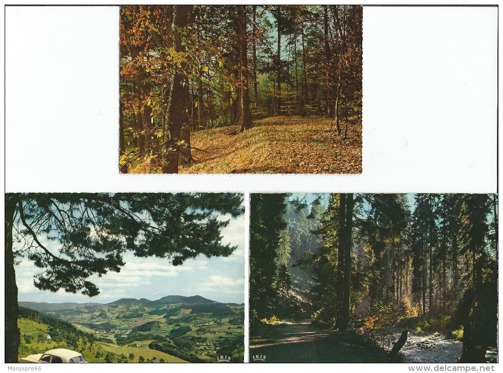 Lot N° 236 de 113 Cartes Postales de paysages de natures