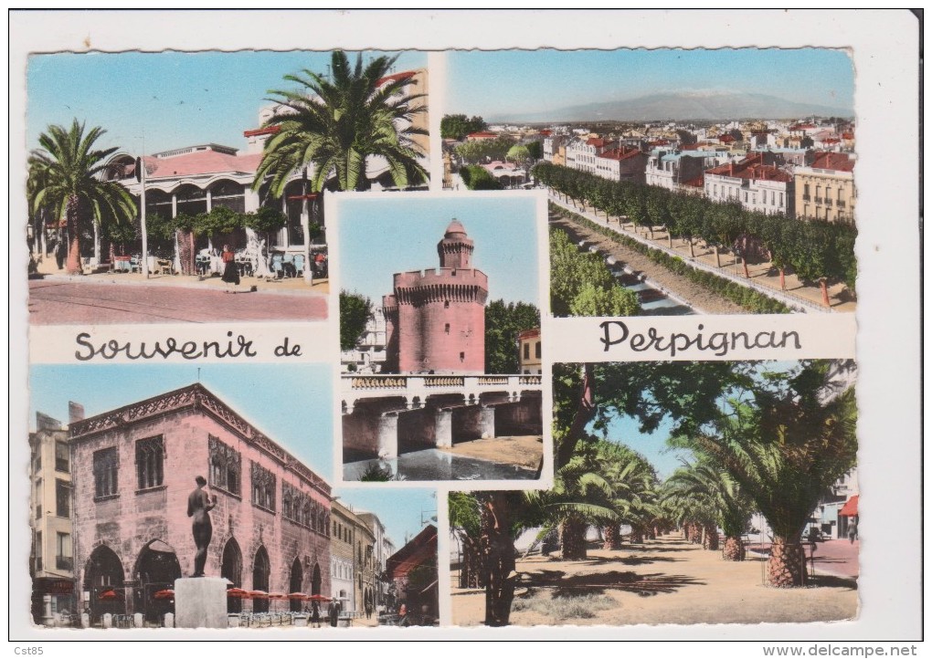 CPSM Grand Format - Souvenir De PERPIGNAN - Multivues - Perpignan