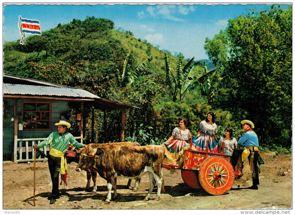 COSTA RICA  PAISAJE  TIPICO FOLKLORIC  OXCART      (VIAGGIATA) - Costa Rica