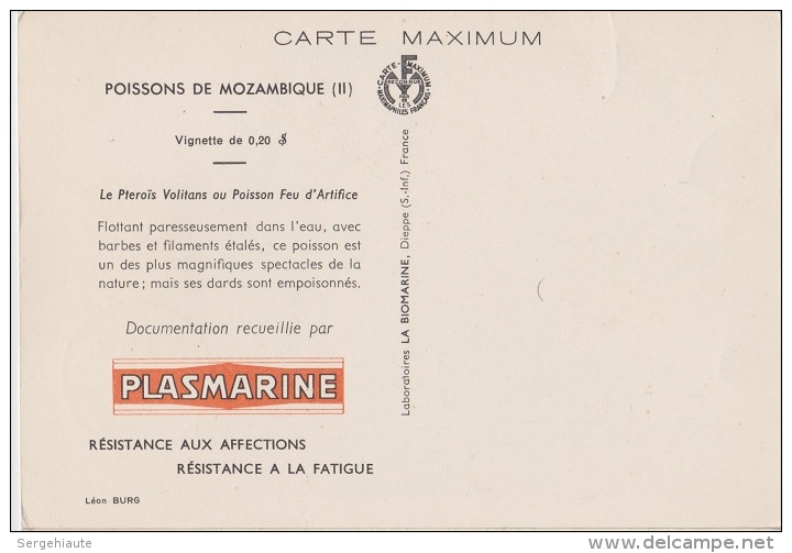 Carte Maximum, Poissons, Plasmarine, Publicité, 1955, Poisson Feu D´artifice, Timbre, Mozambique, Mocambique. - Mozambico