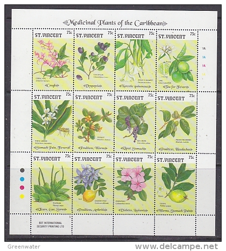 St. Vincent 1992 Medicinal Plants Of The Caribbean 12v In Sheetlet ** Mnh (27299) - St.Vincent (1979-...)