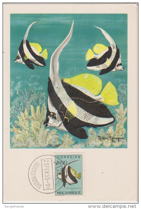 Carte Maximum, Poissons, Plasmarine, Publicité, 1955, Poisson Ange , Timbre, Mocambique, Heniochus Acuminatus. - Mozambique