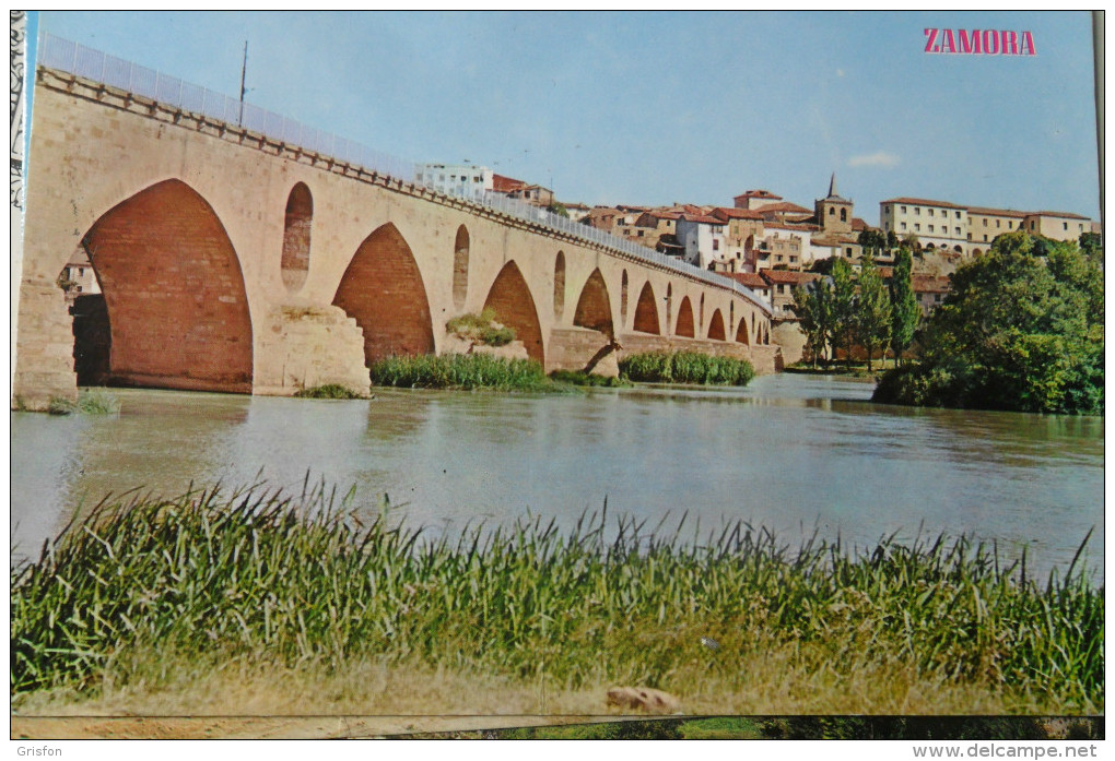 Zamora Puente Sobre El Rio Duero - Zamora