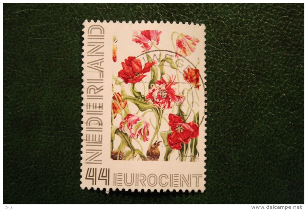 BLOEMEN FLOWER FLEUR Persoonlijke Zegel NVPH 2635 2009 Gestempeld / USED / Oblitere NEDERLAND / NIEDERLANDE - Timbres Personnalisés