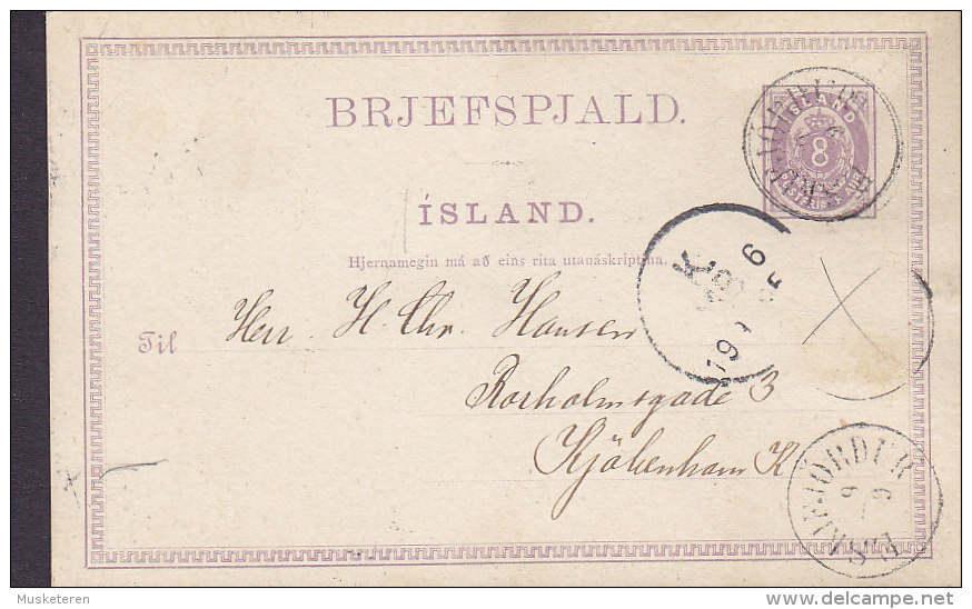 Iceland (Uprated) Postal Stationery Ganzsache Entier 8 Aur ESKIFJÖRDUR 1895 KJØBENHAVN Denmark (2 Scans) - Ganzsachen