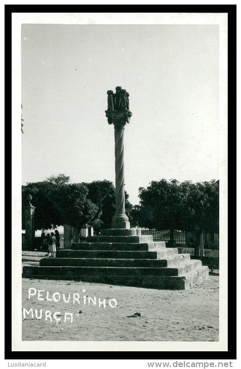 MURÇA - CRUZEIROS E PELOURINHOS- Pelourinho (Foto Albano) Carte Postale - Vila Real