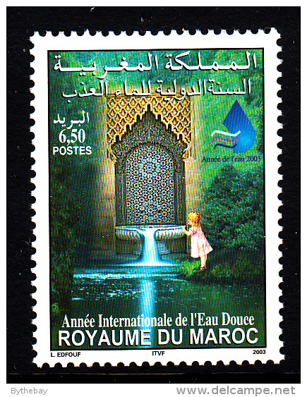 Morocco MNH Scott #937 6.50d International Year Of Fresh Water - Maroc (1956-...)