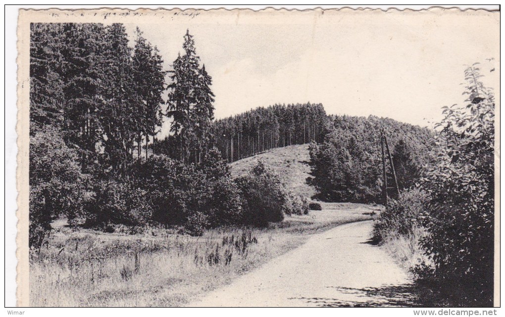 MANDERFELD &gt; Vallée Du Franckenbach - Bullange - Büllingen