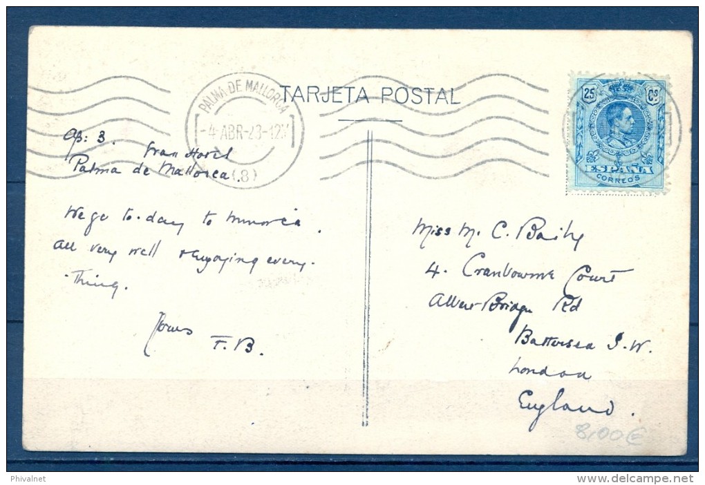 1923 , TARJETA POSTAL CIRCULADA DESDE PALMA DE MALLORCA , ÁRBOLES , OLIVOS CENTENARIOS. - Árboles