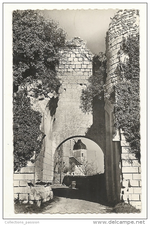 Cp, 37, Le Grand Pressigny, Entrée Du Château, Voyagée 1950 - Le Grand-Pressigny