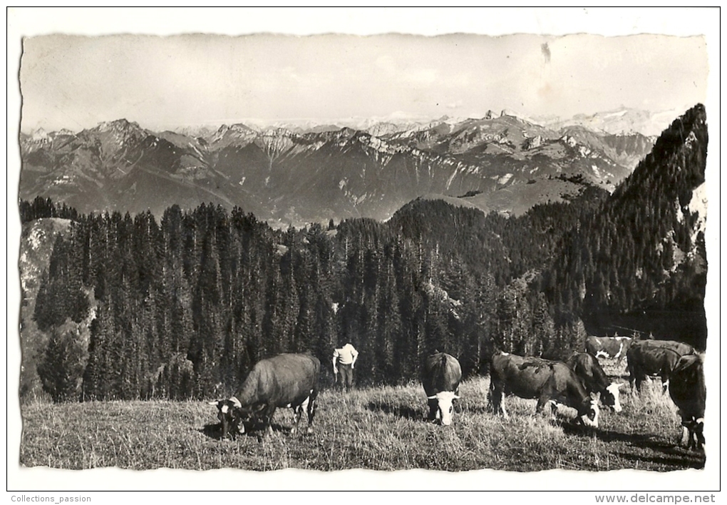 Cp, 74, Thollon-les-Mémises, Vue Sur Les Montagnes Suisse, Rocher De Nayes Et Diablerets, Voyagée 1955 - Thollon