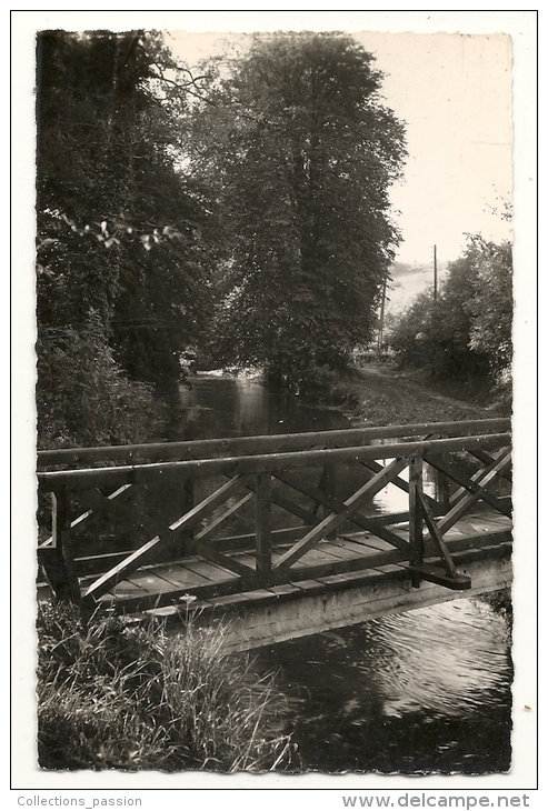 Cp, 76, Cany, Caniel, Le Pont Sur La Burdent, Voyagée - Cany Barville