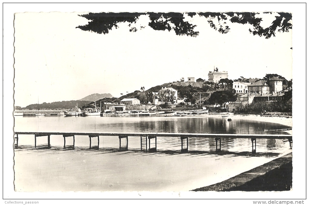 Cp, 83, Porquerolles, Le Port Et L'Ecole De Radar, Voyagée 1956 - Porquerolles