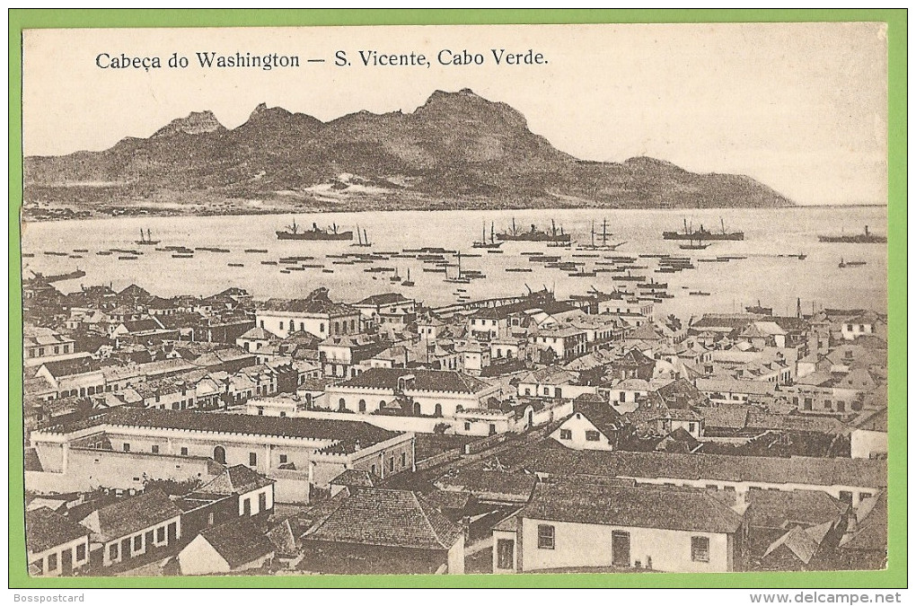 S. Vicente - Cabeça De Washington - Cabo Verde - Cap Vert