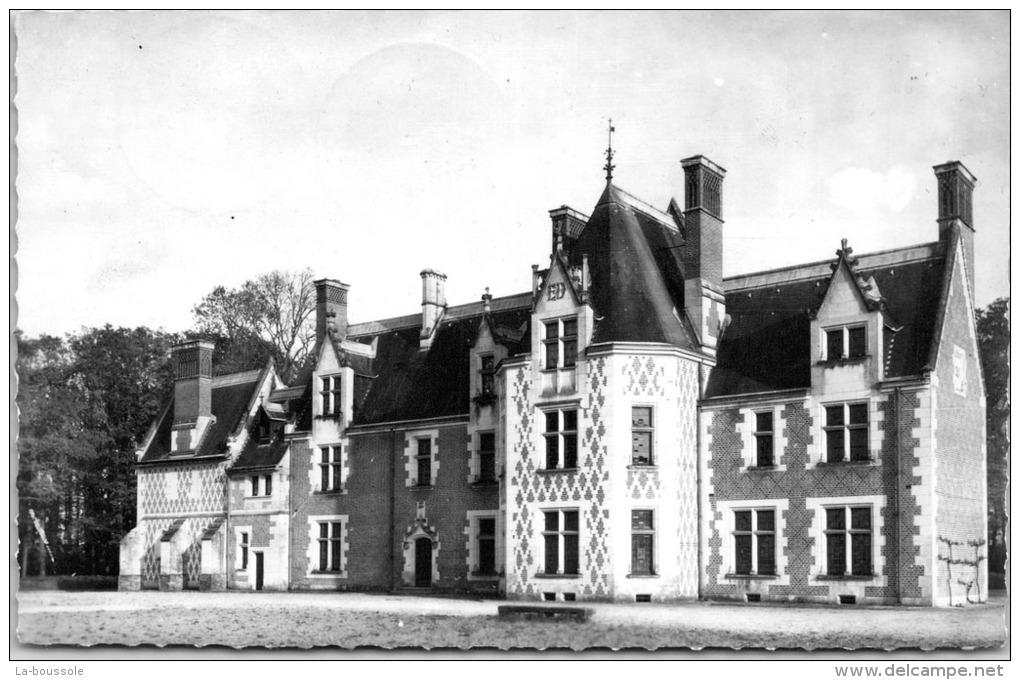 41 SOINGS EN SOLOGNE -- Château Des Pins. - Autres & Non Classés