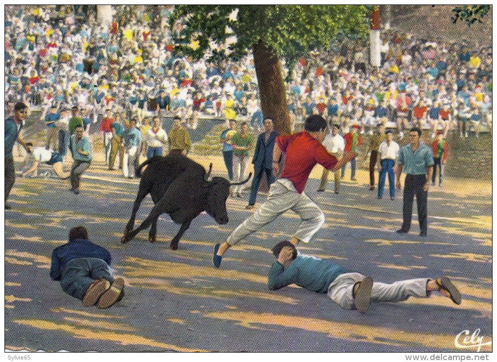 COURSE DE VACHES DANS LES RUES -  (Biarritz) - Jeux Régionaux