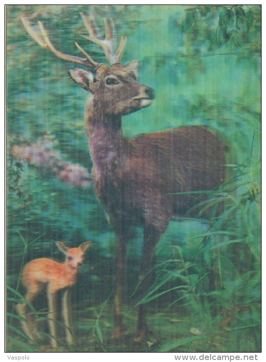 DEER WITH A BABY DEER 3D STEREOSCOPE POSTCARD - Stereoscope Cards