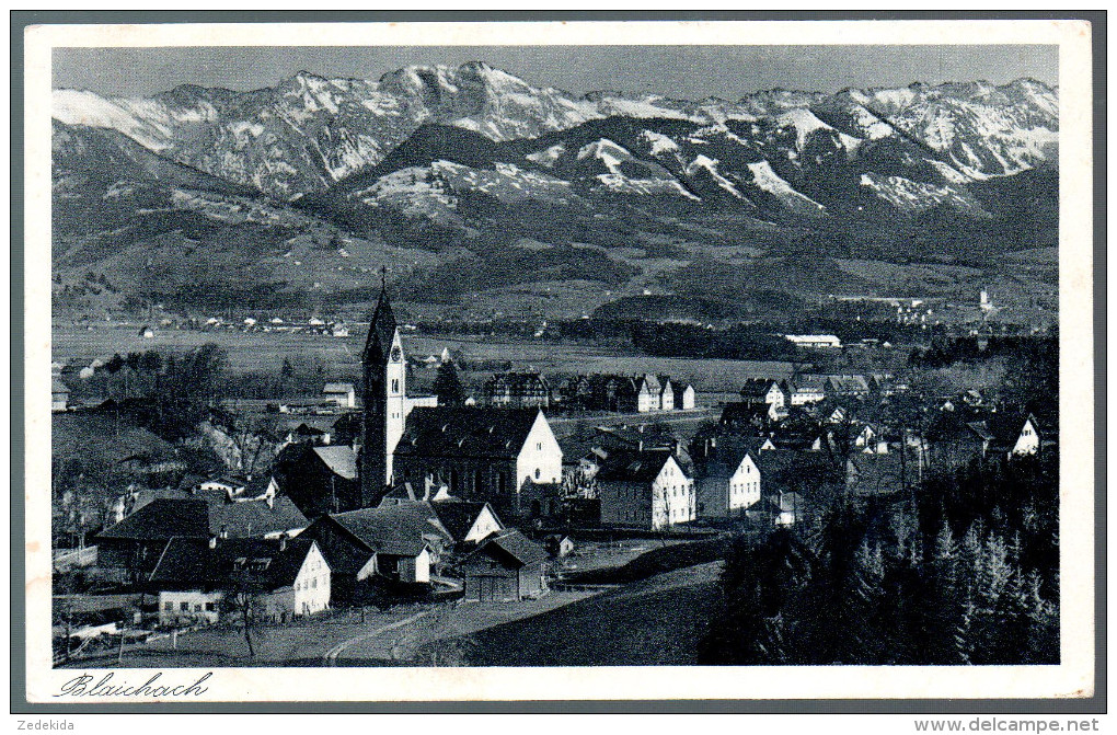 1421 - Ohne Porto - Alte Foto Ansichtskarte - Blaibach Nebelhorn Daumengruppe - N. Gel. Hipp TOP - Cham